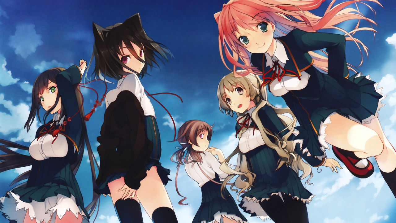 诺艾喜欢多米吗